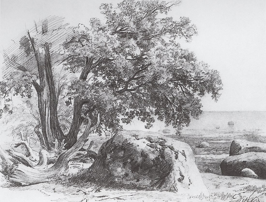 И. Шишкин. Дуб на берегу Финского залива. 1857.