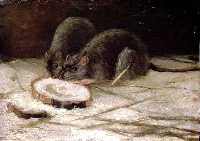 Винсент Ван Гог. "Две крысы". 1884. Частная коллекция.