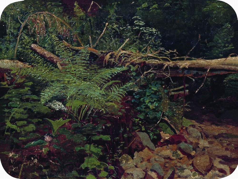 Иван Шишкин. Пейзаж. 1896.