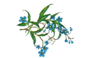 С. Т. Аксаков. "Аленький цветочек". Иллюстрации Б. Диодорова.