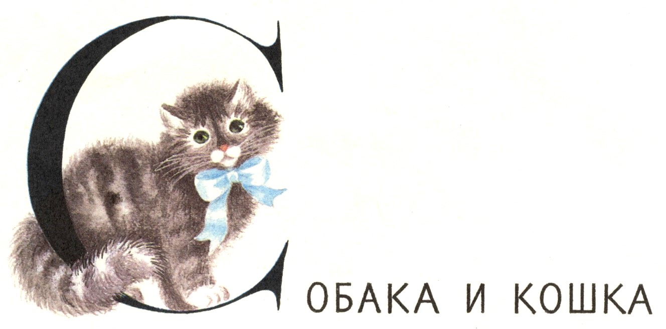 С. Баруздин. "Собака и кошка". Иллюстрации М. Беляевой.