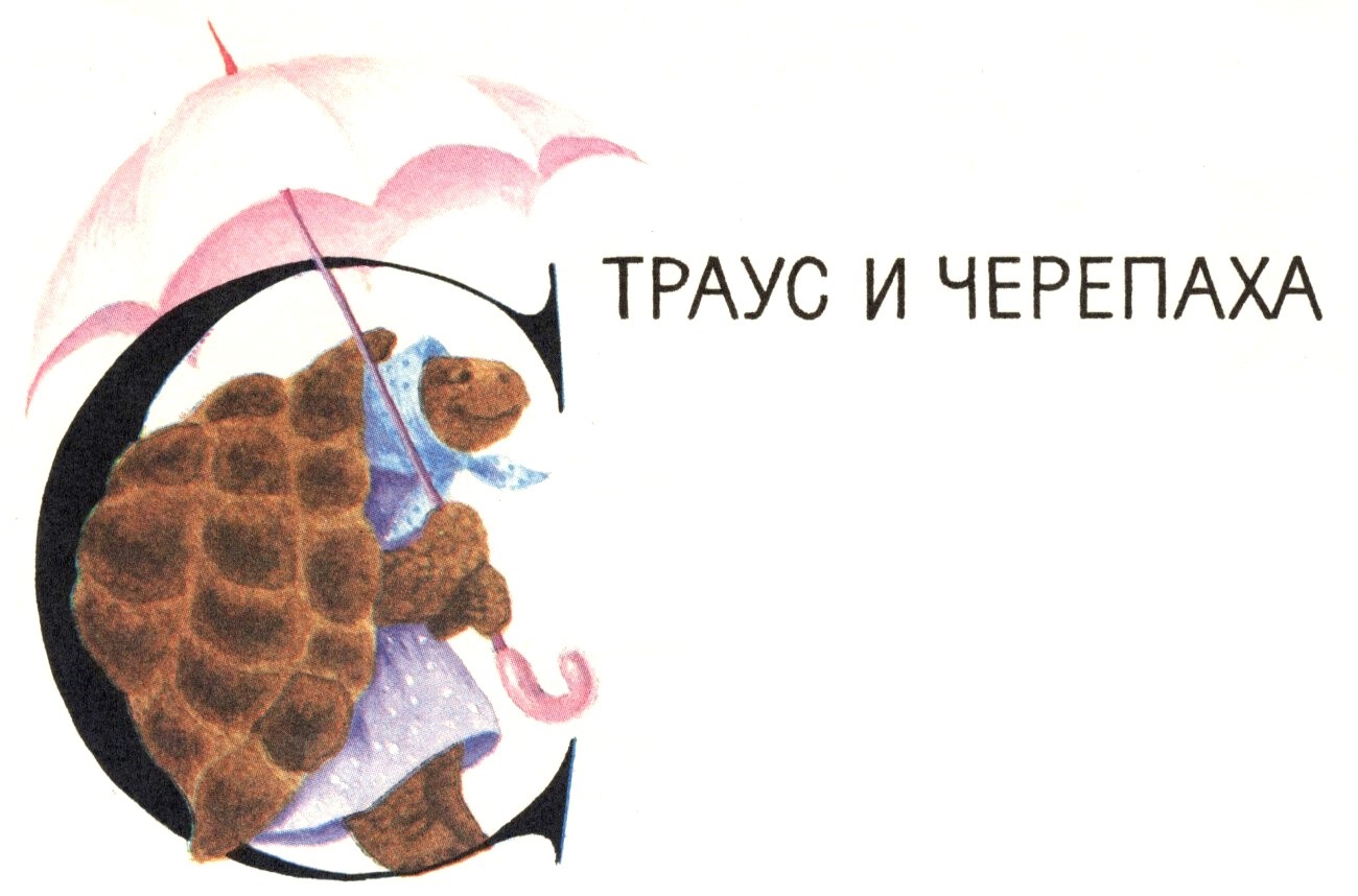 С. Баруздин. "Страус и черепаха". Иллюстрации М. Беляевой.