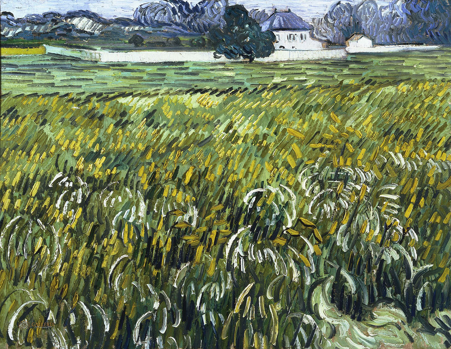 Винсент Ван Гог. "Пшеничное поле с белым домом в Овере". 1890. Коллекция Филлипса, Вашингтон.