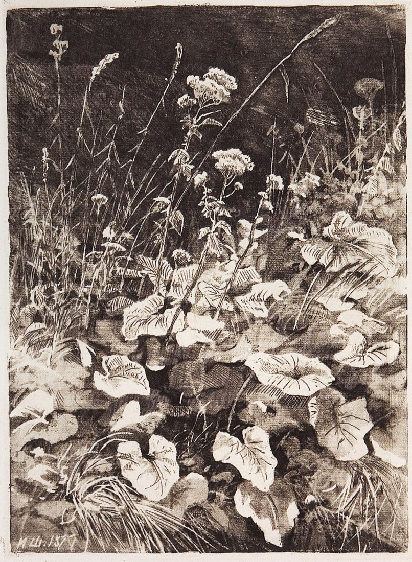Иван Шишкин. Белые цветы. 1877.
