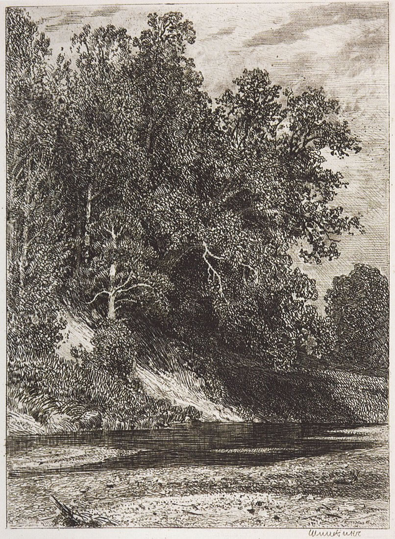 И. Шишкин. Лес на крутом берегу. 1877.