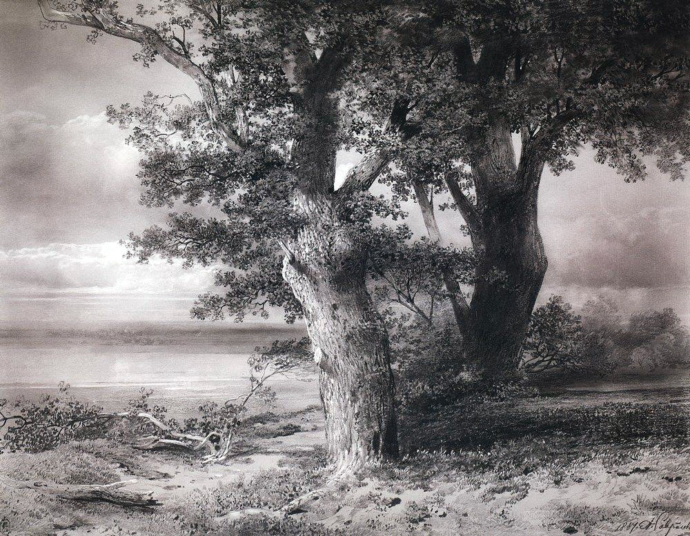 А. Саврасов. Дубы на берегу. 1867.