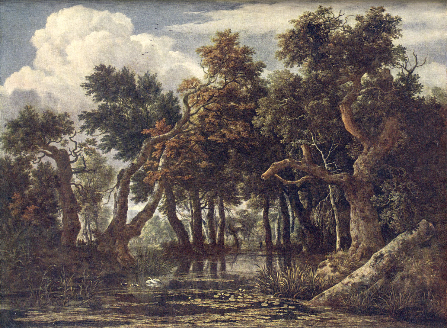 Якоб ван Рейсдаль. Болото. 1660-1670.