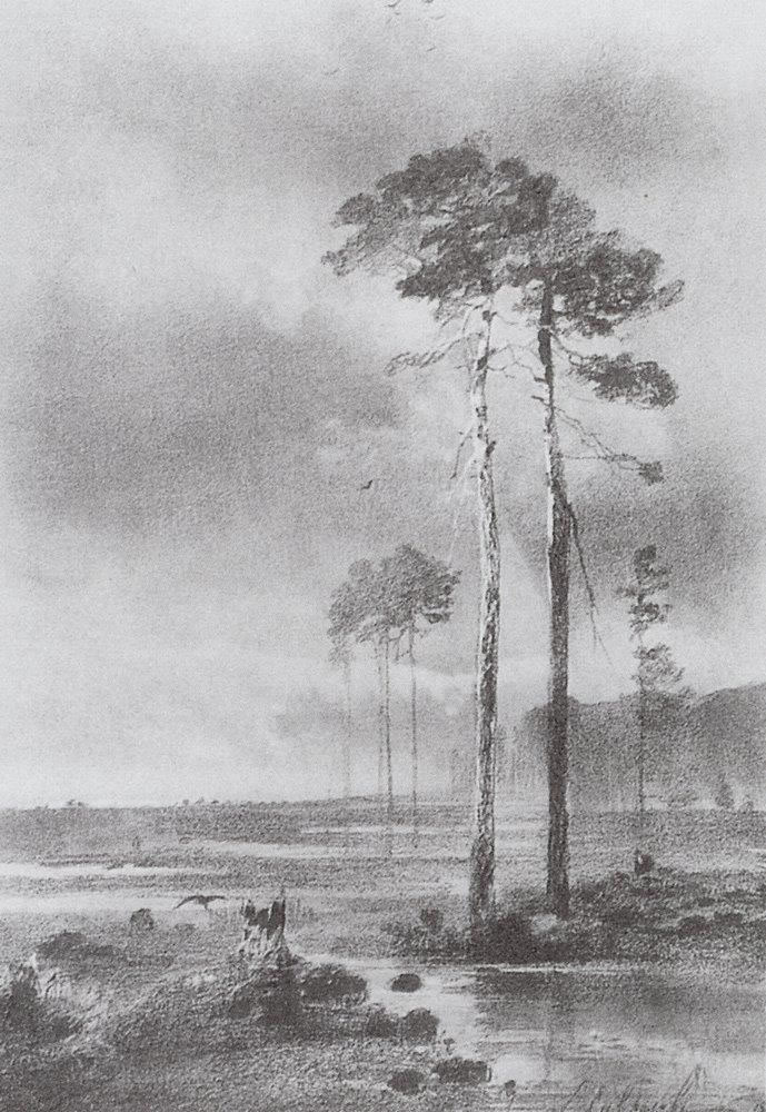 А. Саврасов. Сосны у болота. 1882.