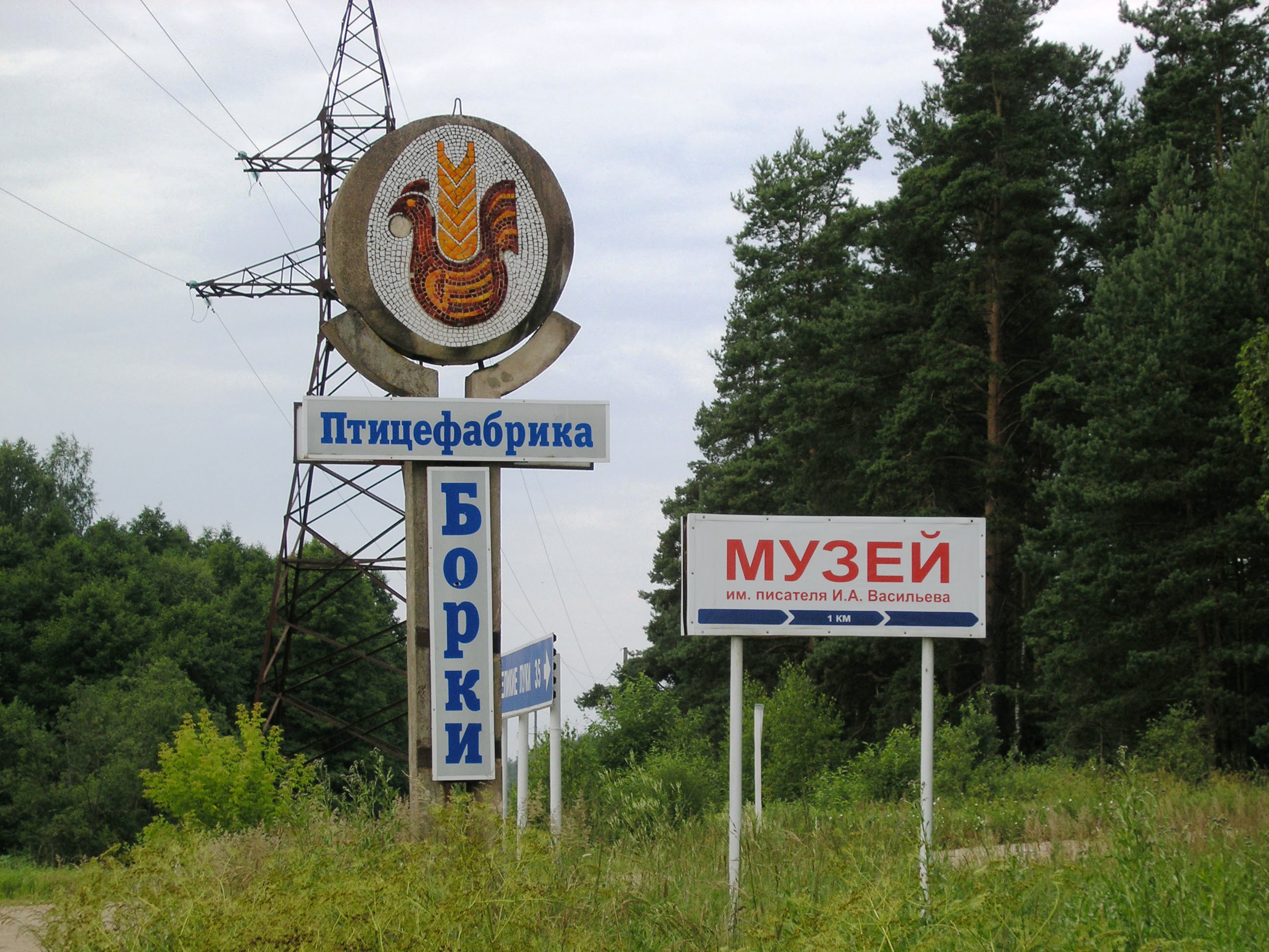 Борки, Борковская волость, Великолукский район, Псковская область.