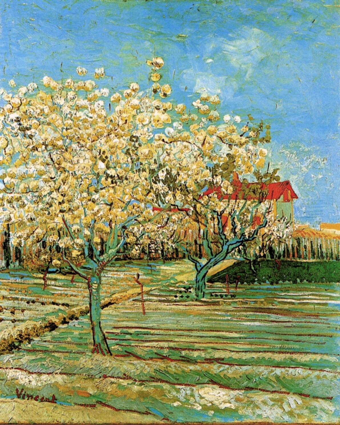 Винсент Ван Гог. "Фруктовый сад в цвету". 1888. Частная коллекция.