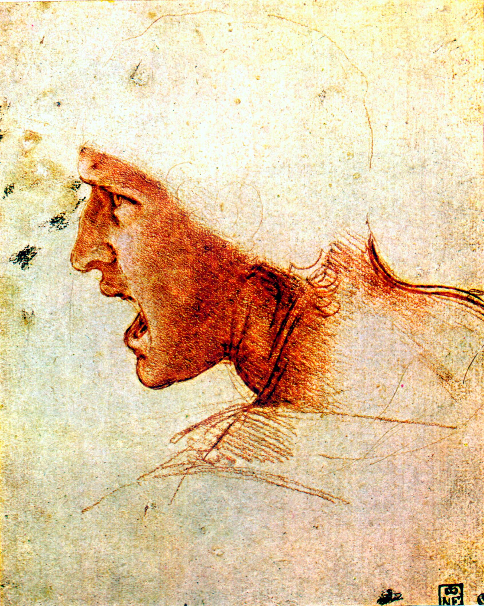 Леонардо да Винчи. "Профиль кричащего человека". Эскиз к "Битве".