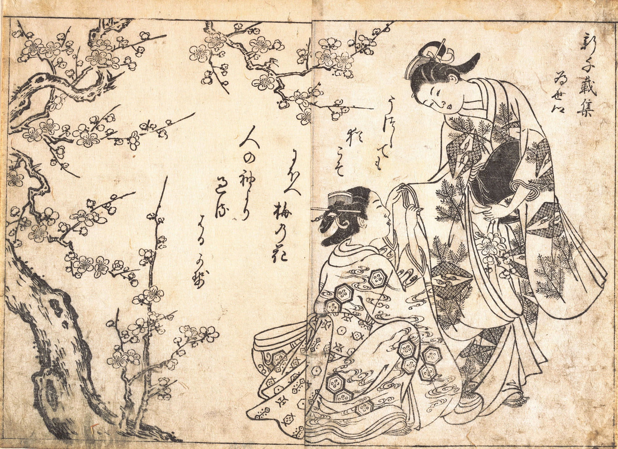 Нисикава Сукэнобу. Две девушки под цветущим сливовым деревом.