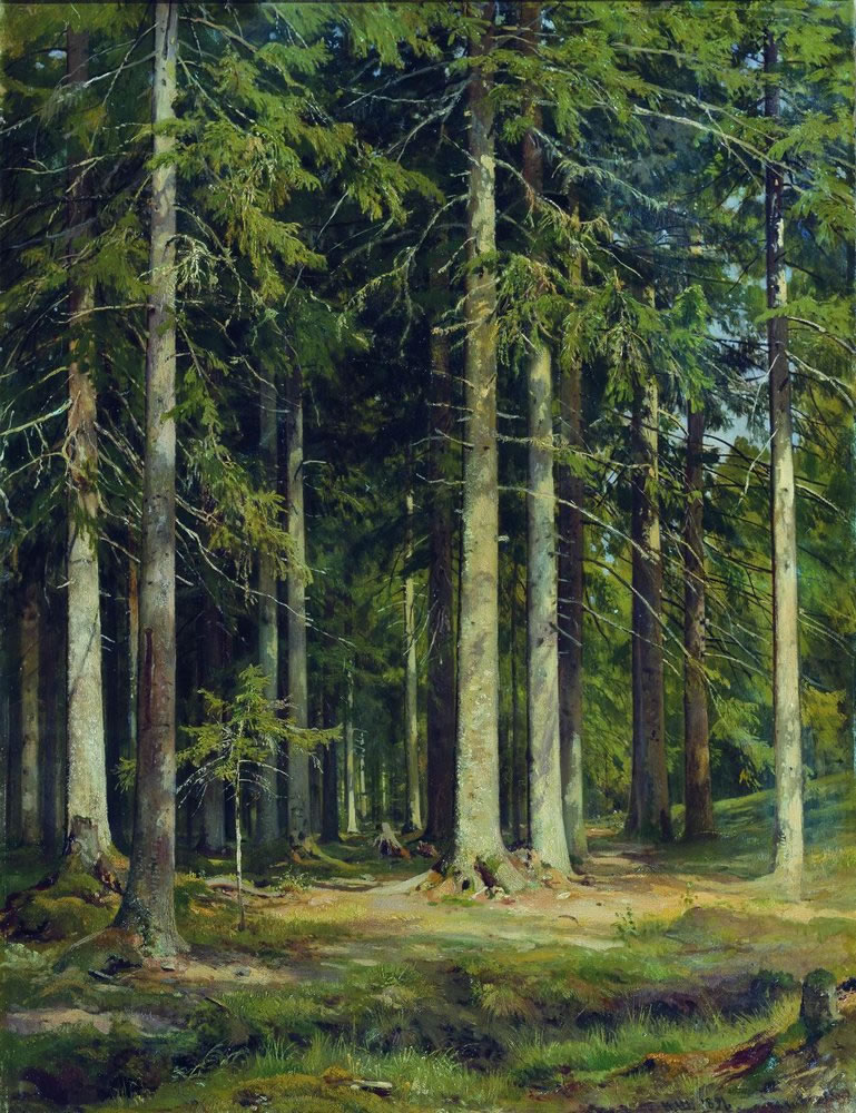 Иван Шишкин. Еловый лес. 1891.