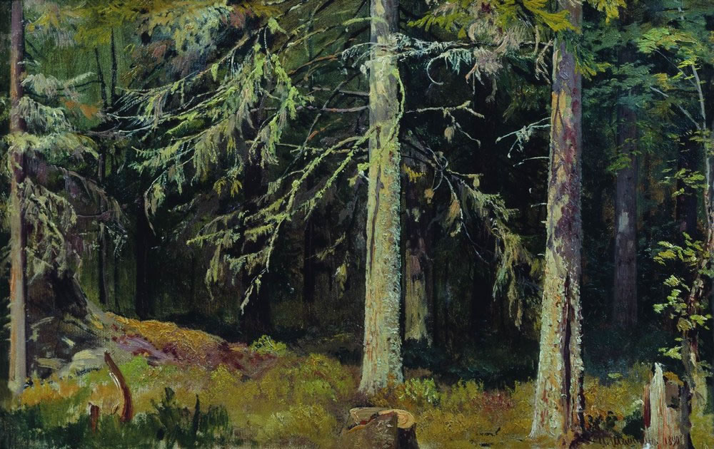 Иван Шишкин. Еловый лес. 1890.