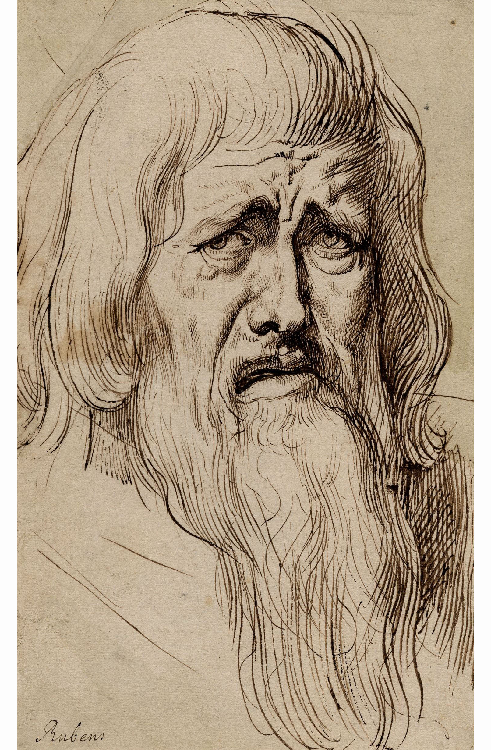 Питер Пауль Рубенс. "Голова бородатого мужчины". около 1603. Британский музей, Лондон.