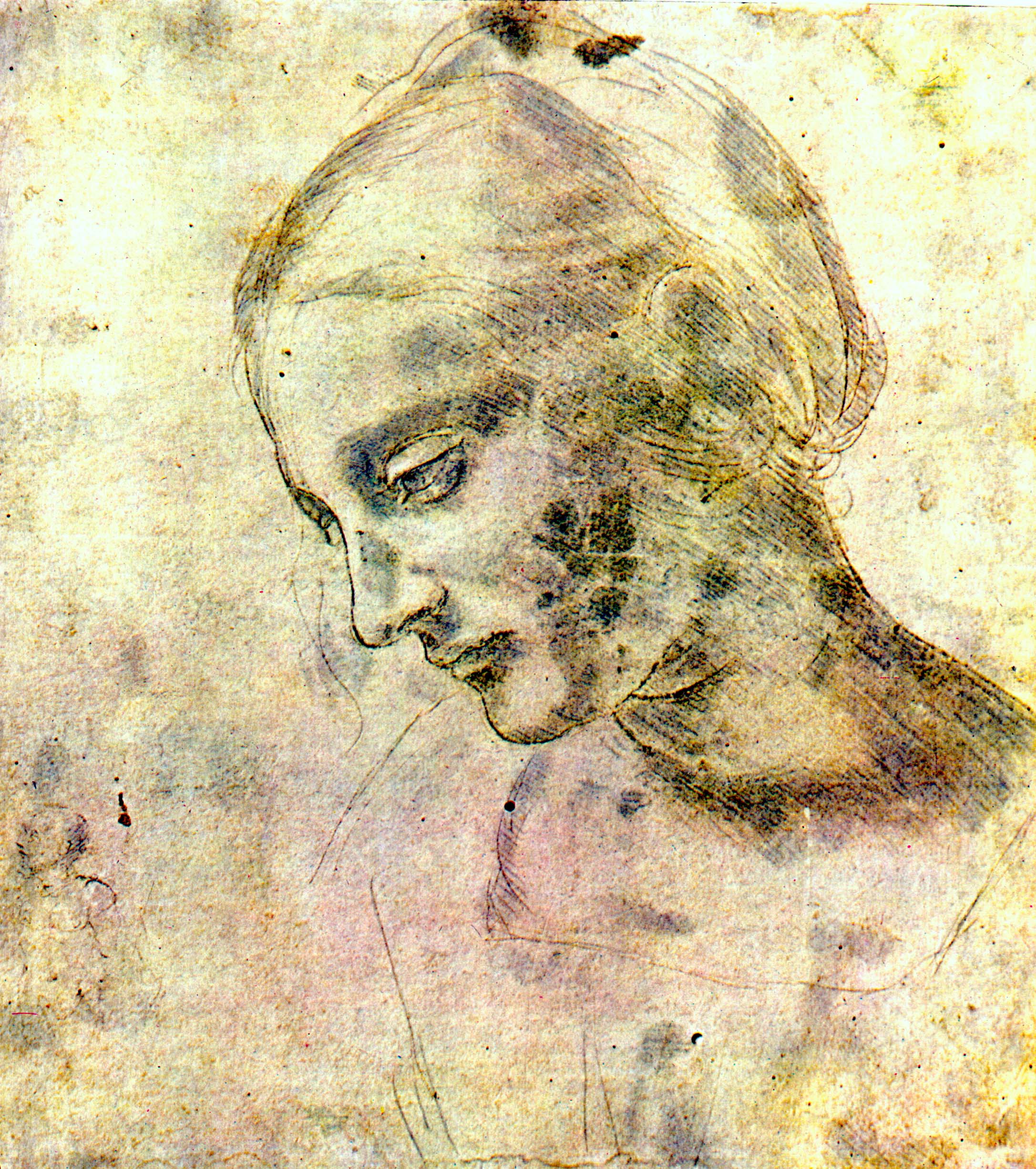 Леонардо да Винчи. Голова Мадонны Литты. Этюд. 1480.