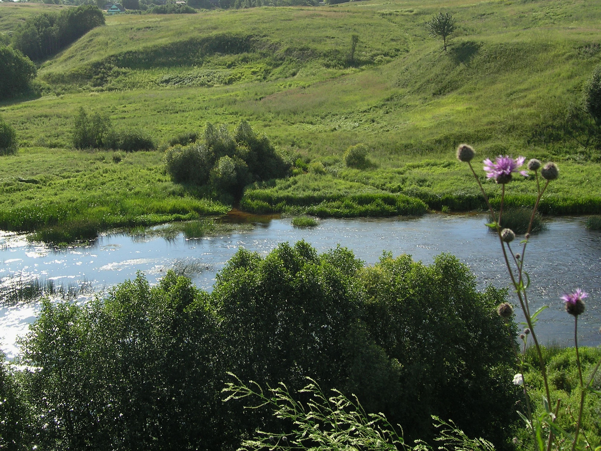 Место впадения реки Карпинка в реку Ловать напротив городища.