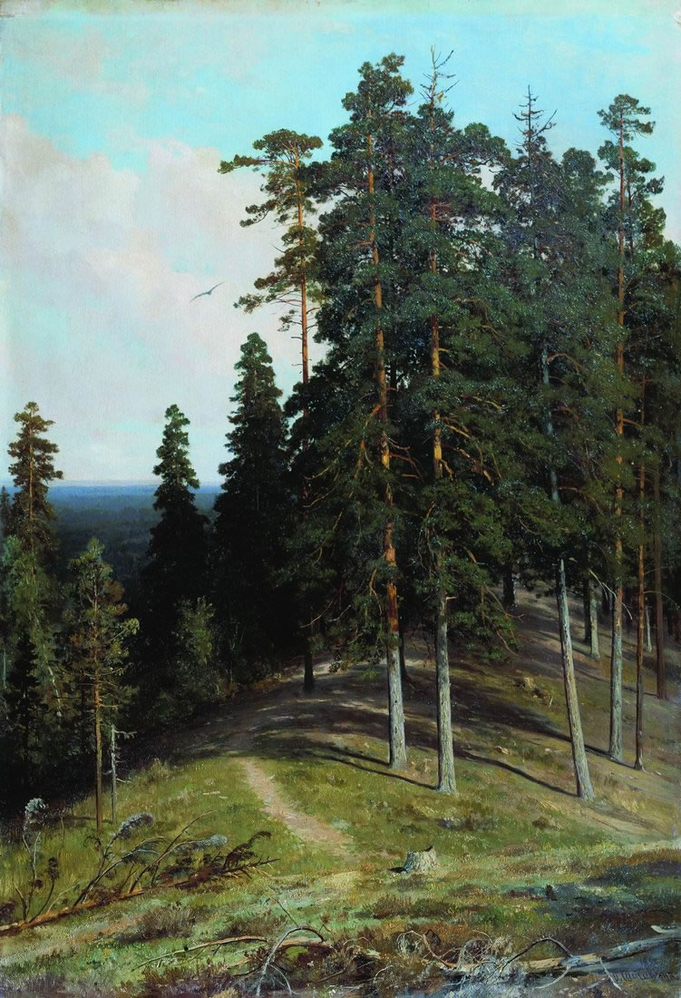 И. Шишкин. Лес с горы. 1895.