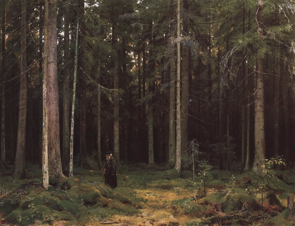 Иван Шишкин. В лесу графини Мордвиновой. Петергоф. 1891.