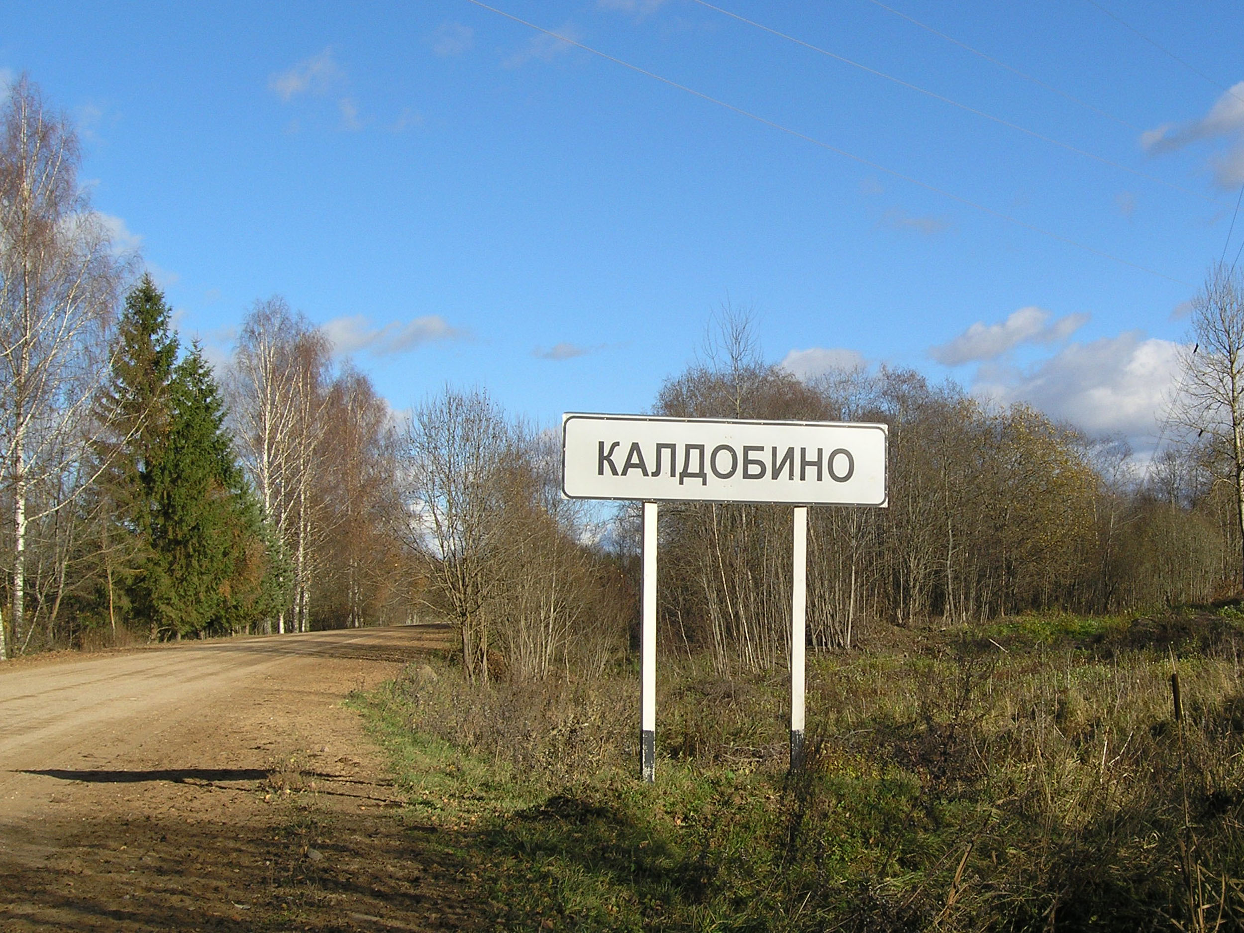 Калдобино, Пореченская волость, Великолукский район, Псковская область.