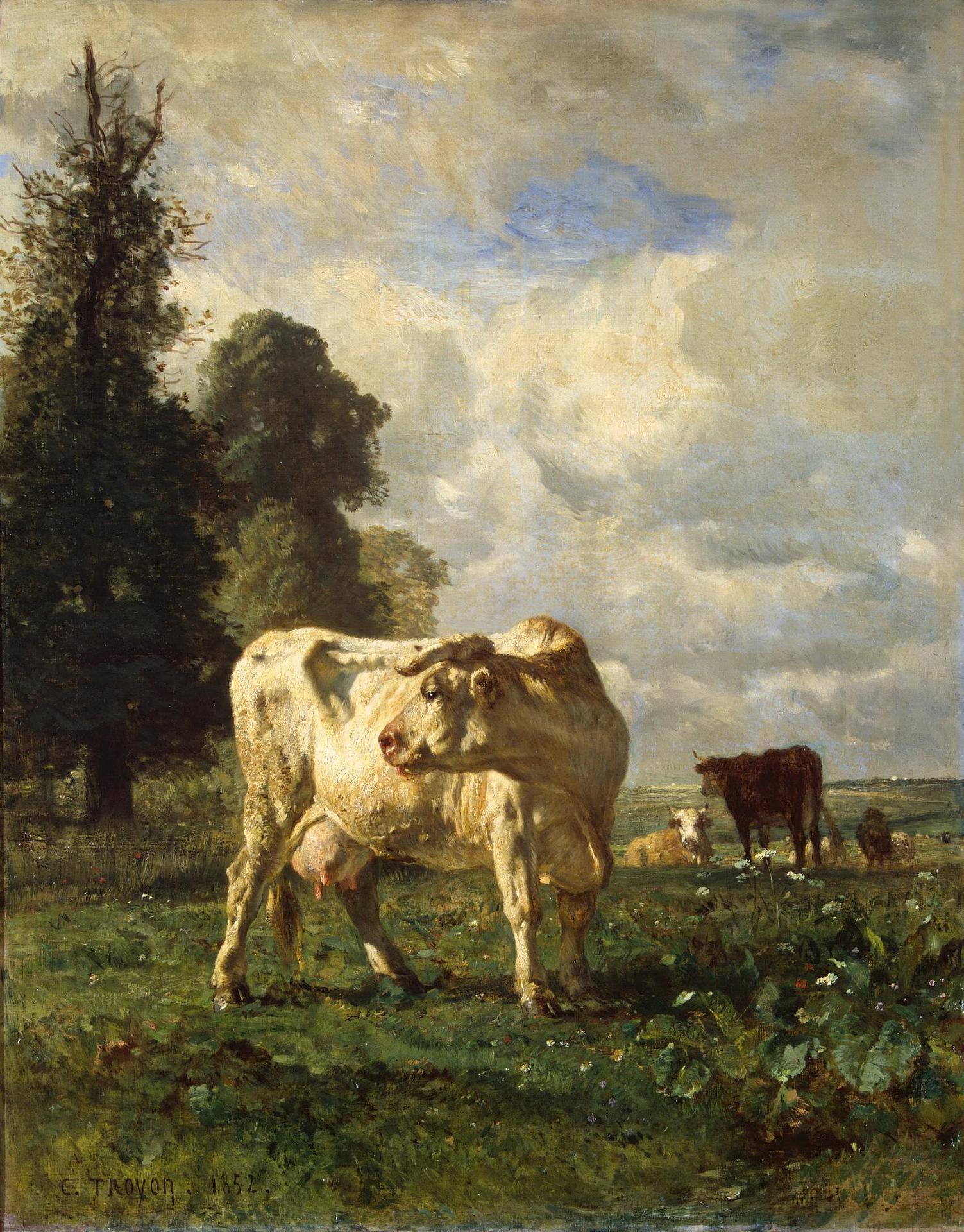 Констан Тройон. "Коровы в поле". Около 1852. Эрмитаж, Санкт-Петербург.