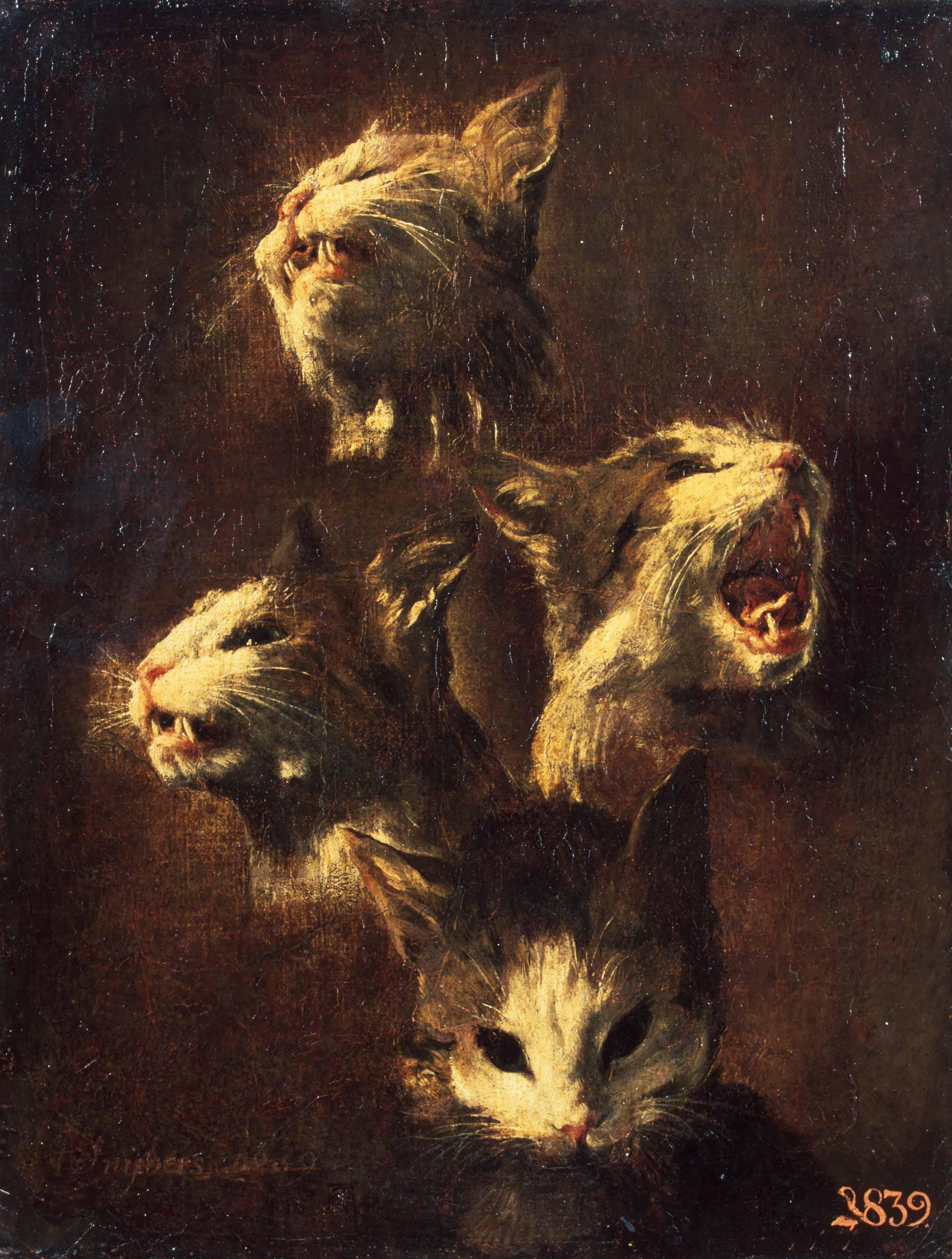 Франс Снейдерс. Этюд головы кошки. 1609. Эрмитаж, Санкт-Петербург.