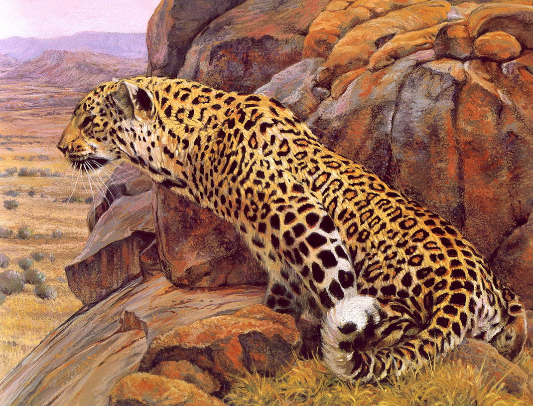 Поль Босман. "Леопард Ограбиеса".