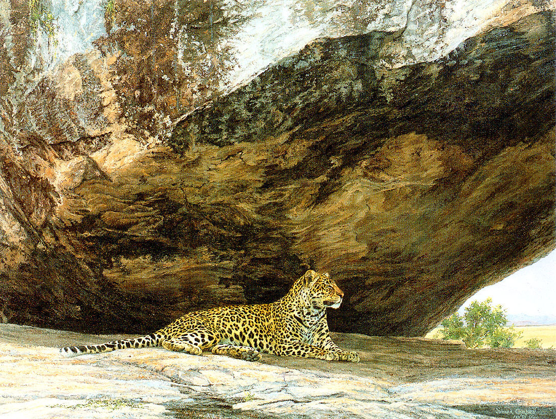 Саймон Комб. "Леопард, притворяющийся камнем".