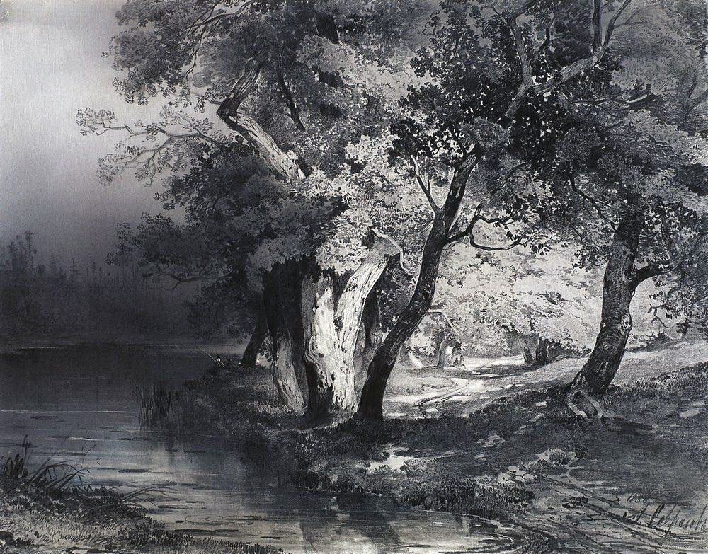 Алексей Кондратьевич Саврасов. "Лес у озера, освещённый солнцем". 1856.