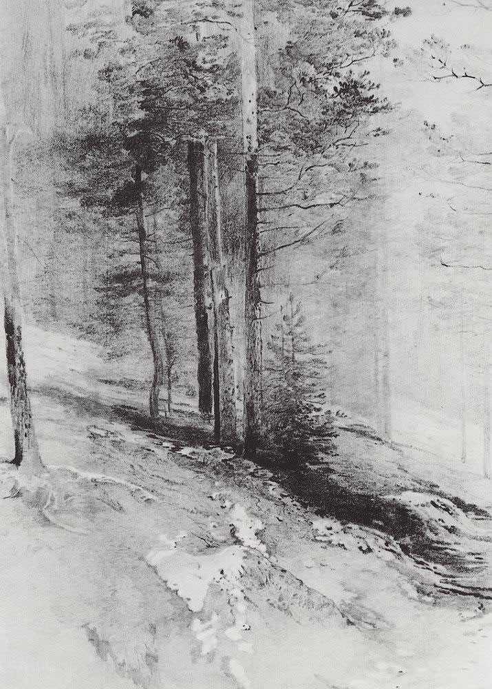 Алексей Кондратьевич Саврасов. "Лес". 1877.