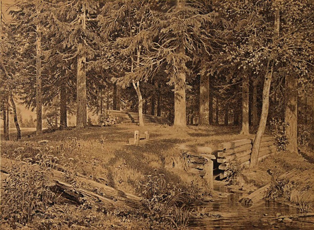 Иван Шишкин. Еловый лес (У ручья). 1890.