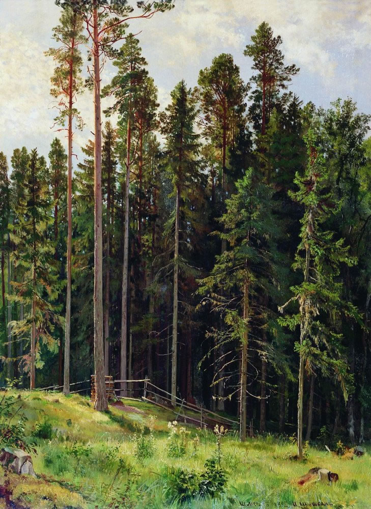Иван Шишкин. Лес. 1892.