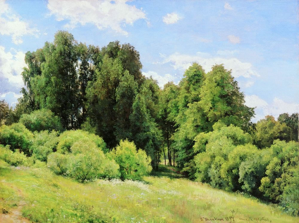 Иван Шишкин. Лесная поляна (Полянка). 1897.