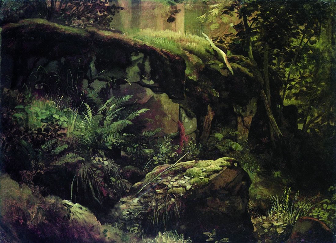 Иван Шишкин. Камни в лесу. Валаам. Между 1858 и 1860.
