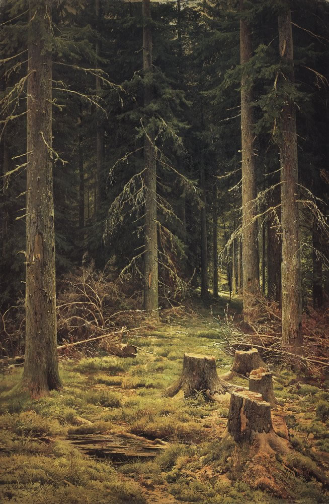 Иван Шишкин. Хвойный лес. 1873.