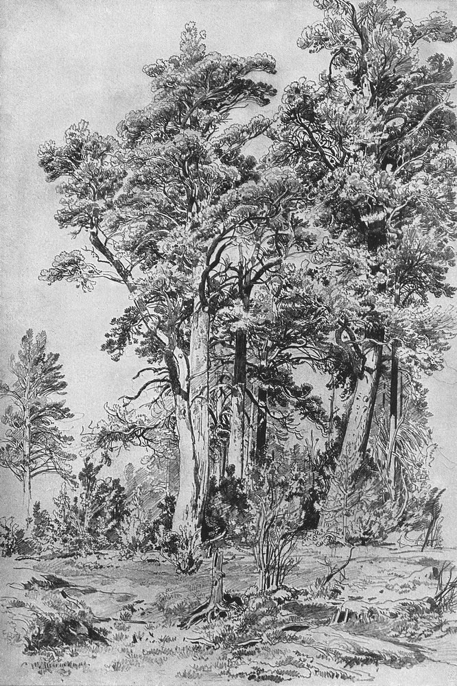 Иван Шишкин. В лесу. 1889.