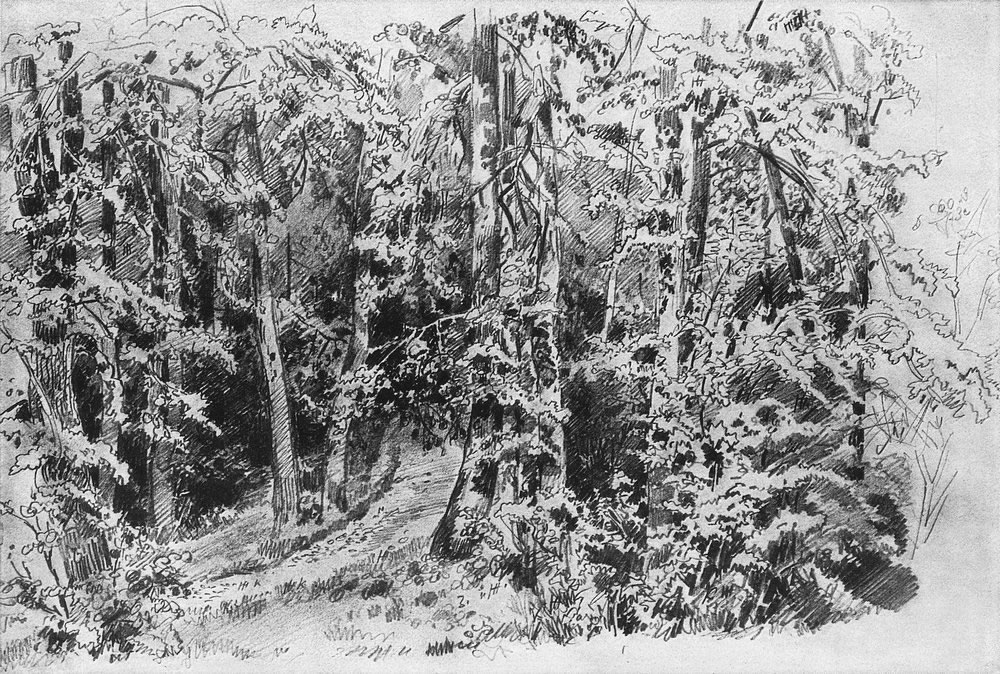 Иван Шишкин. В лиственном лесу. 1880-е.