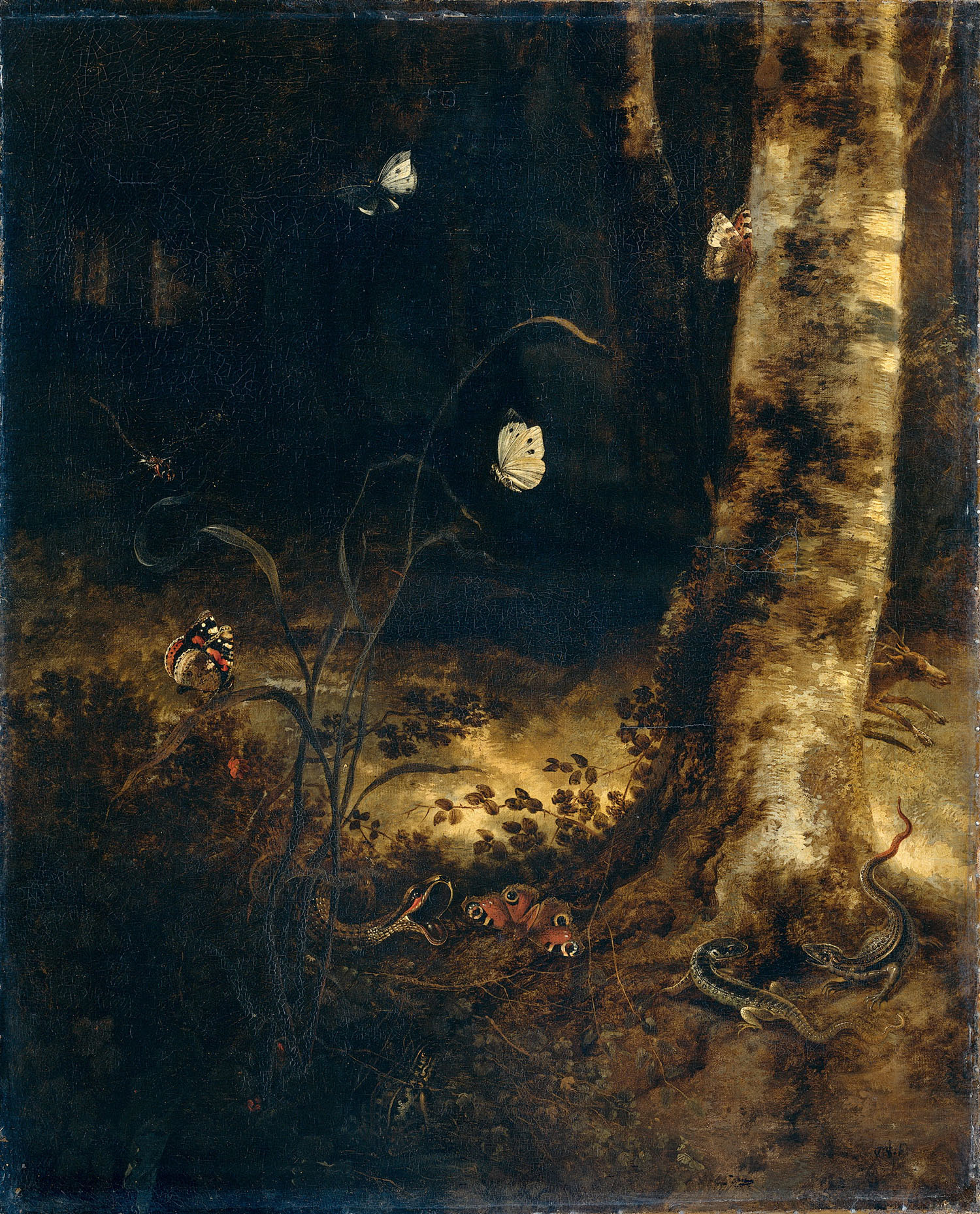 Отто Марсеус ван Скрик. "Лесная поляна со змеёй, ящерицами и насекомыми. Около 1650-1678.
