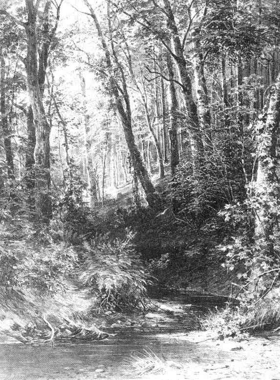 Иван Шишкин. Ручей в лесу. 1880-е.