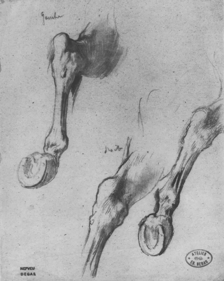 Эдгар Дега. Три этюда задней ноги лошади. 1863. Бременская картинная галерея (Кунстхалле), Бремен.