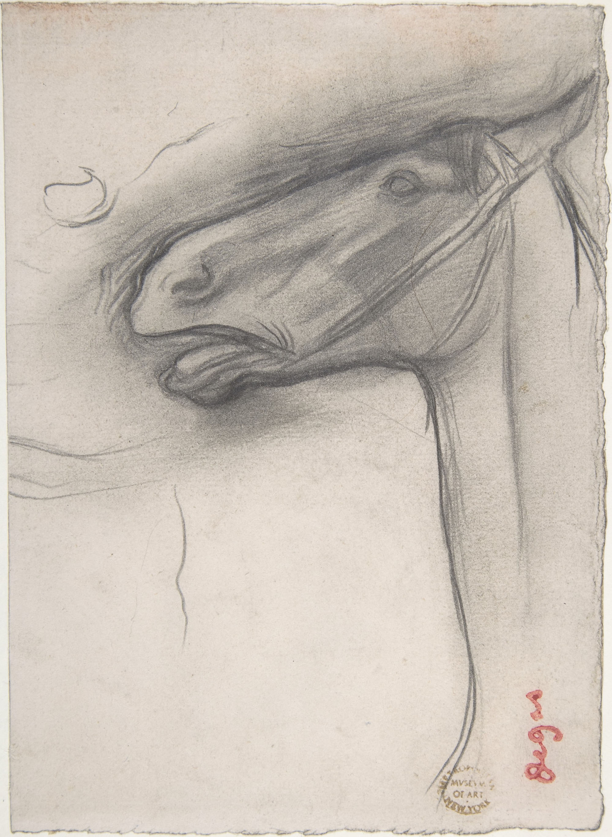 Эдгар Дега. "Голова лошади". Около 1878.