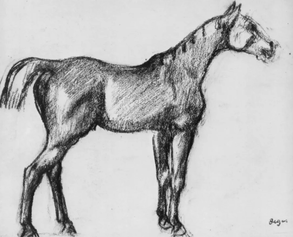Эдгар Дега. "Стоящая лошадь в профиль". 1882. Музей Бойманса - ван Бёнингена, Роттердам.