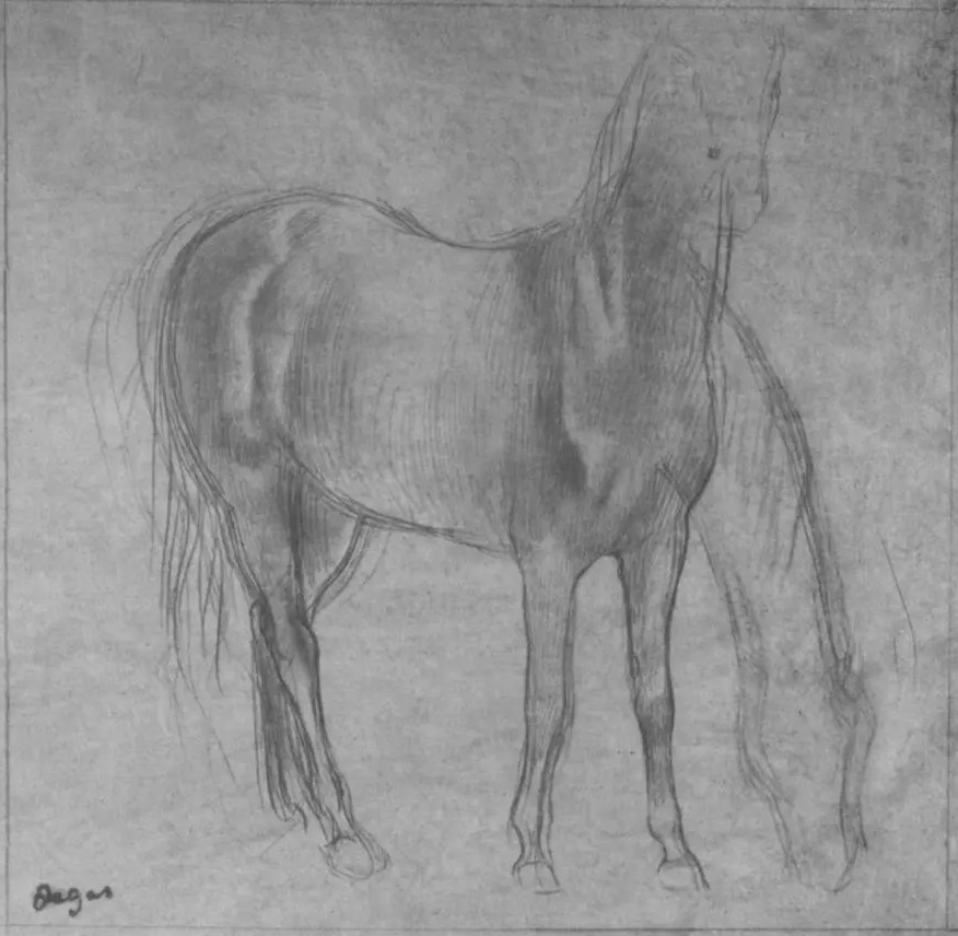 Эдгар Дега. "Стоящая лошадь". 1863. Музей Бойманса - ван Бёнингена, Роттердам.