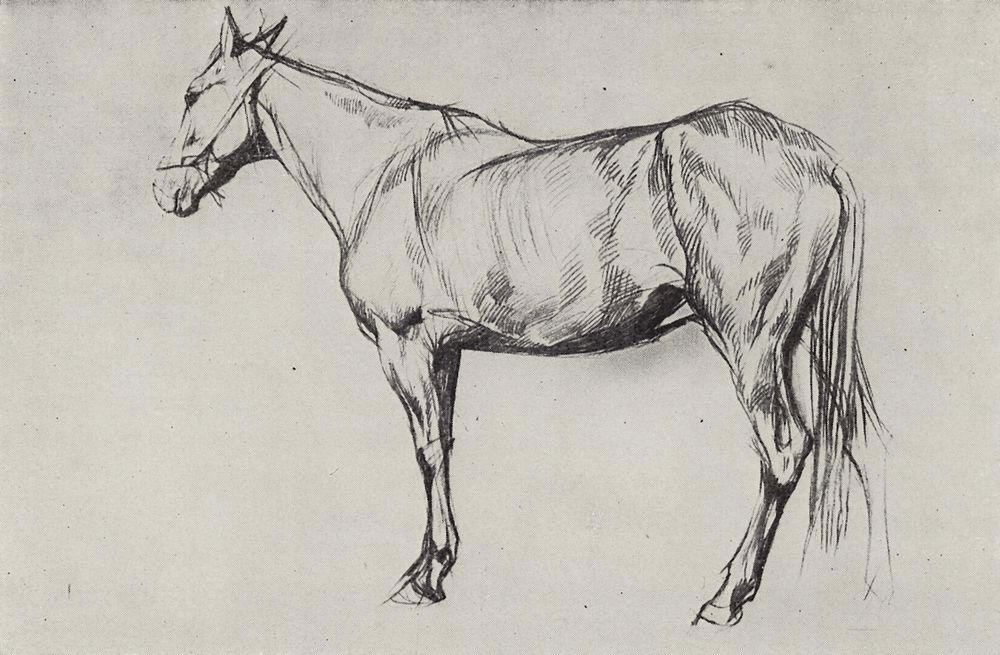 Валентин Александрович Серов. "Лошадь". 1884.