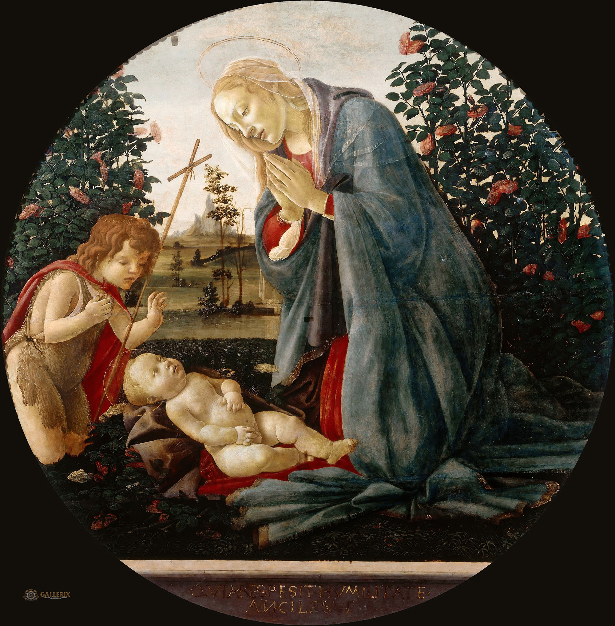 Сандро Боттичелли. "Мадонна с юным Иоанном Крестителем, поклоняющиеся Младенцу Христу. 1481-1482. Палаццо Фарнезе, Пьяченца.