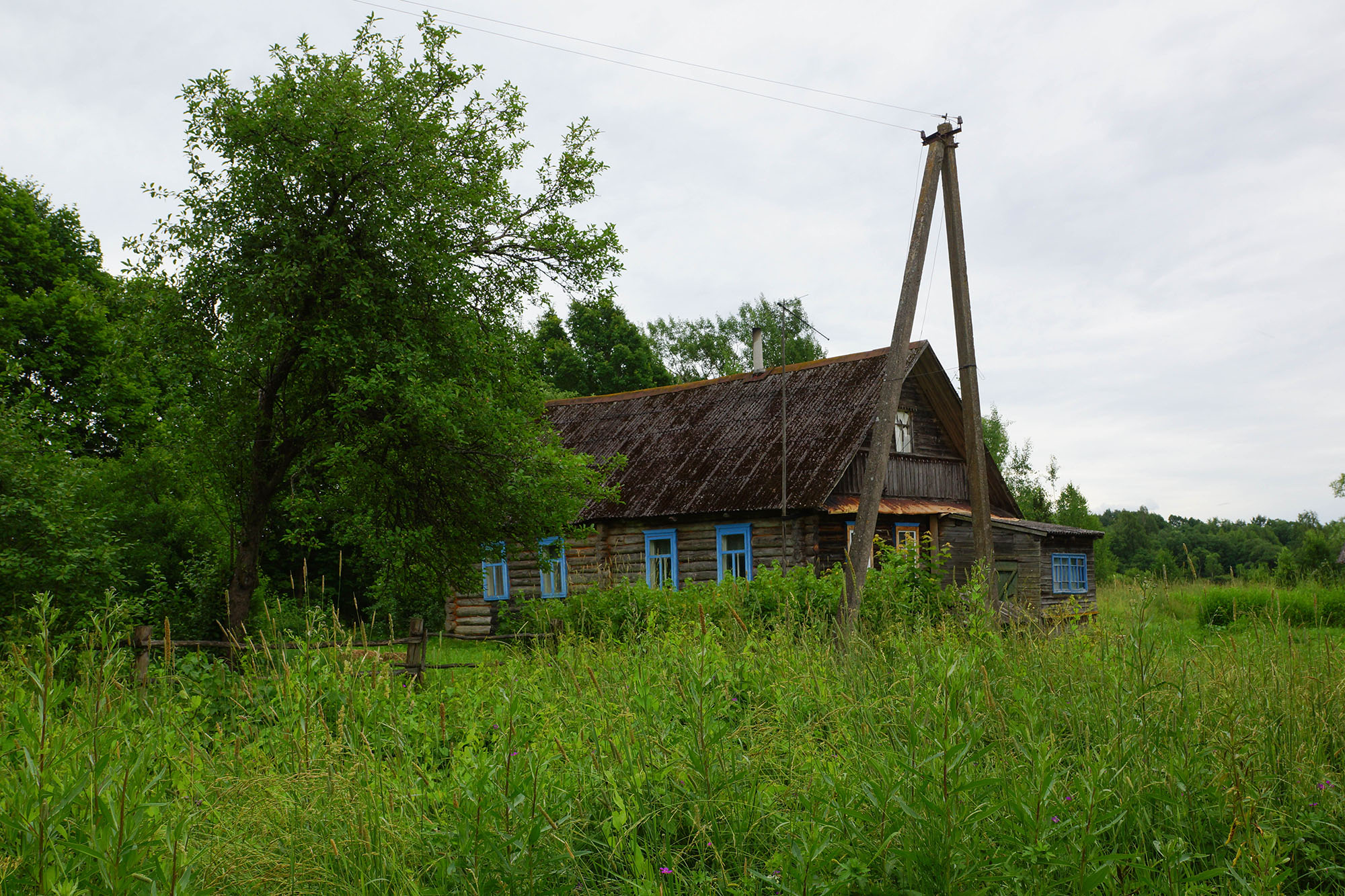 Михеево, Новоржевский район, псковская область.