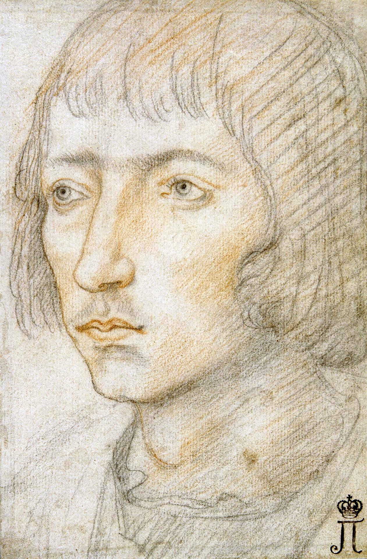 Жан Перреаль. "Мужской портрет". XVI век.
