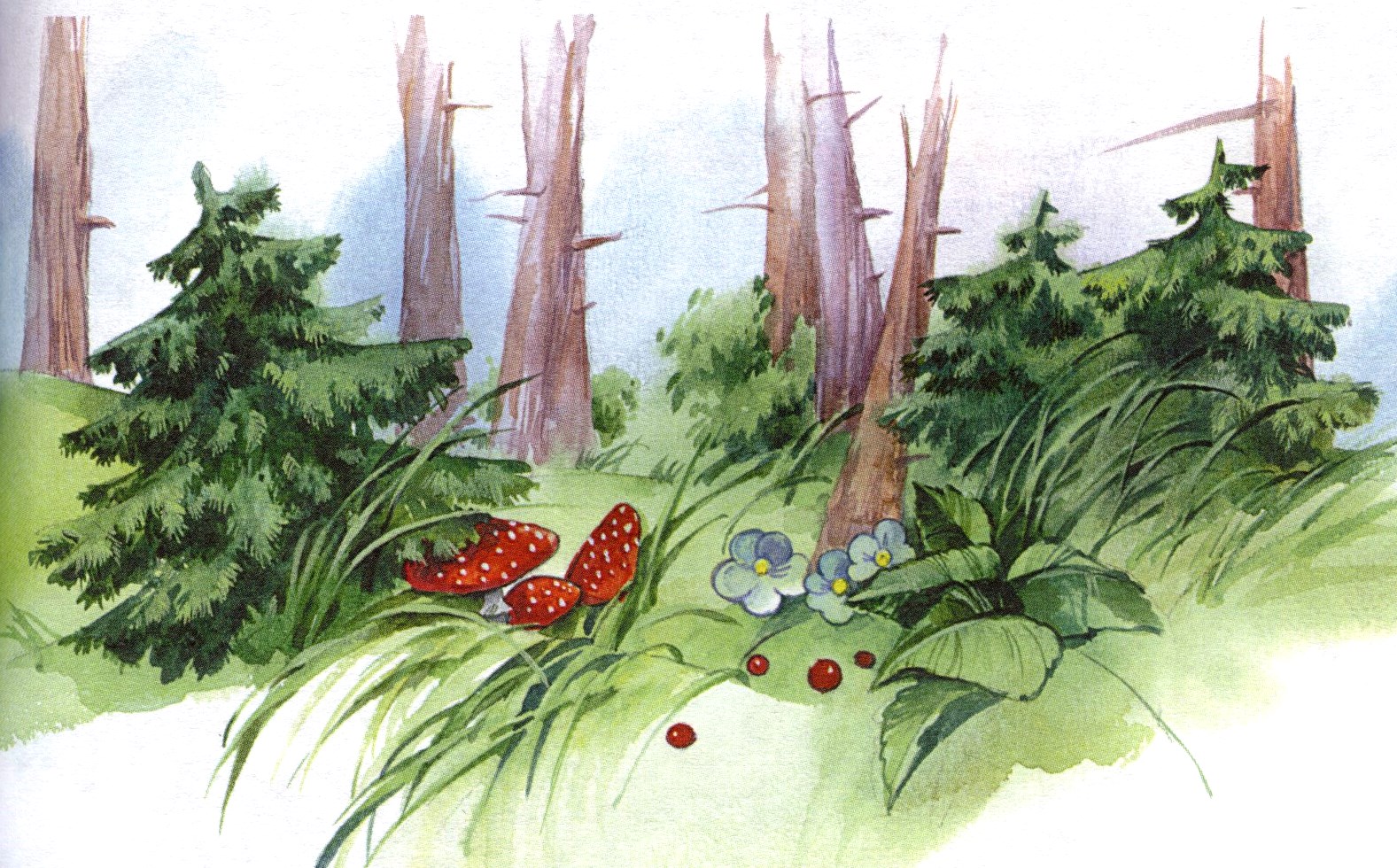Голос леса для детей. Осеева в. "Волшебная Иголочка". Лесные Полянки Виталия Бианки. Лес картинка для детей. Рисунок леса.