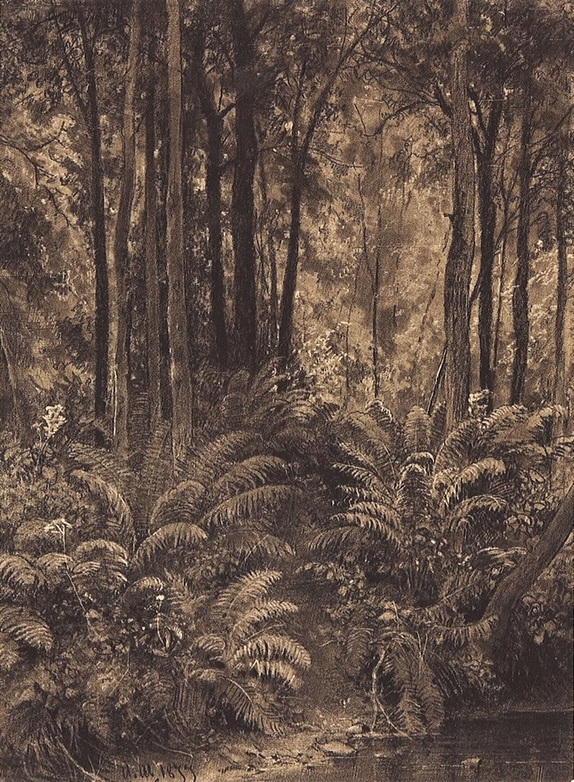 Иван Шишкин. Папоротники в лесу. 1877.