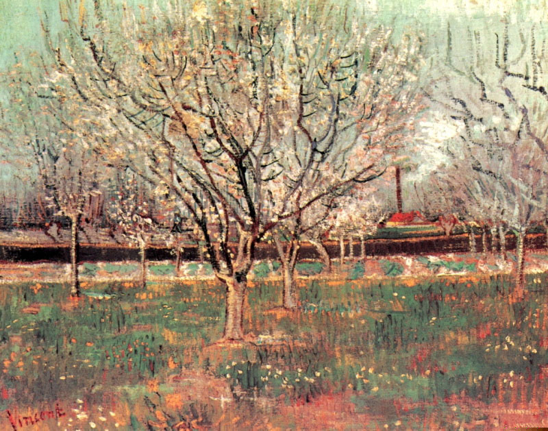 Винсент Ван Гог. Фруктовый сад в цвету (Сливовые деревья). 1888.
